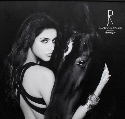 Asin in Dabboo Ratnani 2013 Calendar