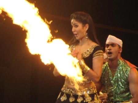 Shah Rukh Khan, Preity Zinta, Ali Zafar and Katrina Kaif at the Temptation Reloaded Concert